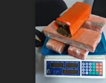 Drogas apreendidas em ação da Polícia Civil