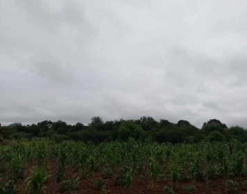 Alerta para vendaval de até 60 km/h