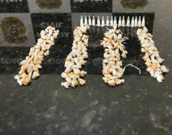 Drogas apreendidas em ação da Polícia Civil