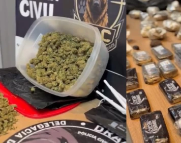 Drogas apreendidas em ação da Polícia Civil