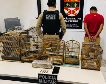 Aves silvestres e maconha apreendidos em ação da Polícia Militar, no município de Catolé do Rocha 