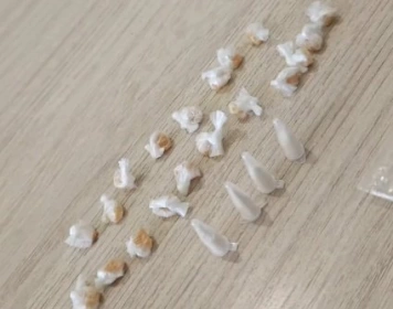 Crack e cocaína apreendidos em ação policial no município de Cajazeiras 
