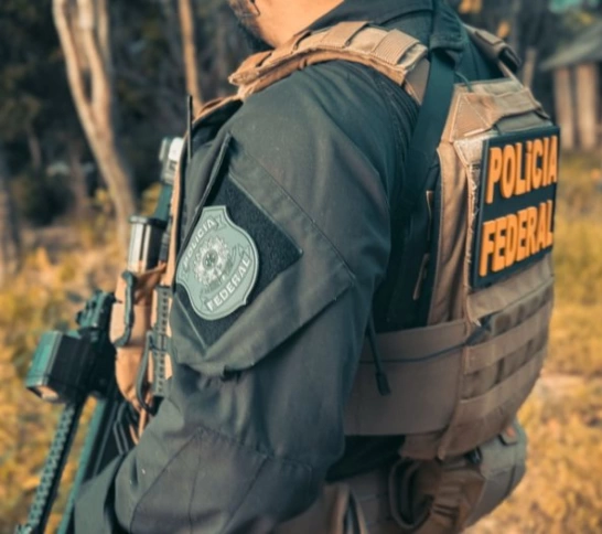PF e PM erradicam cultivo ilícito de maconha no interior da Paraíba