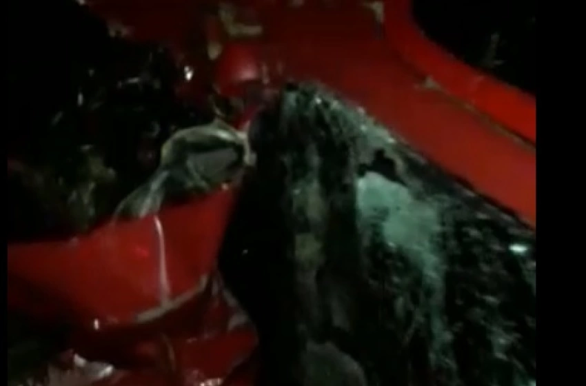 Imagem Carro Acidente 