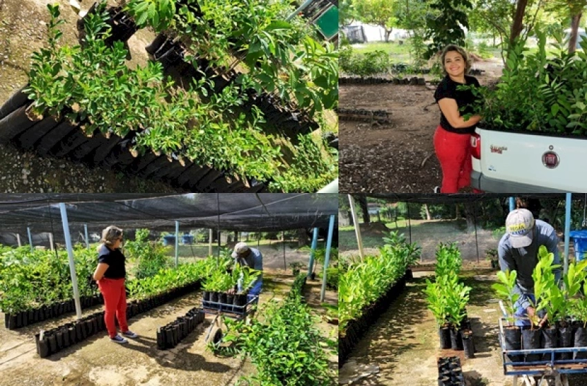 Imagem Parceria entre a prefeitura de Vieirópolis e o IFPB