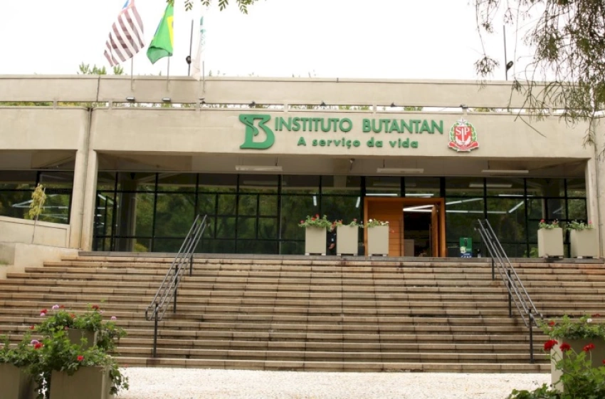 Imagem Instituto Butantan 