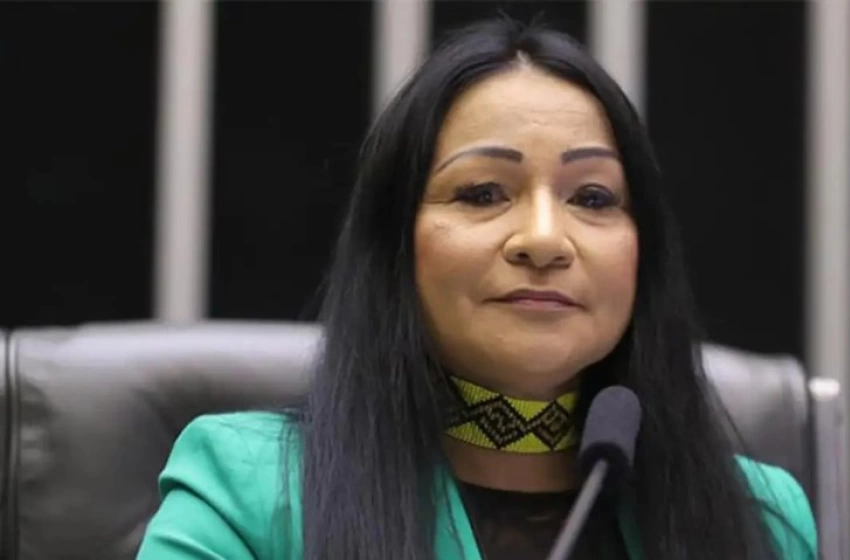 Imagem Deputada federal Silvia Waiãpi (PL-AP)