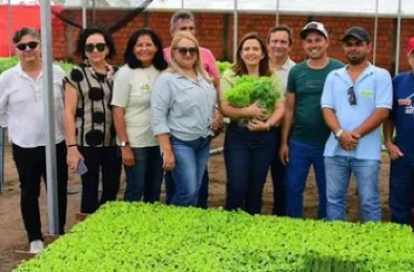Imagem Experiências sobre horta ecológica que usa o sistema de hidroponia