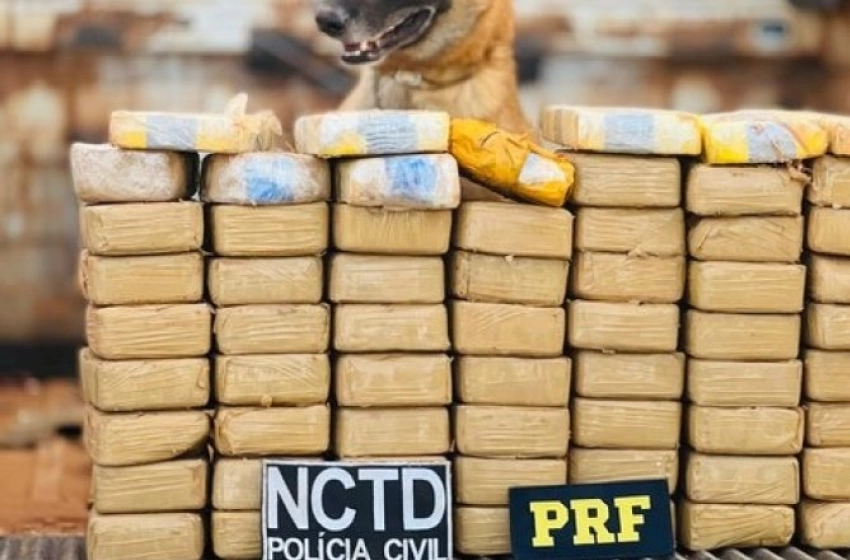 Imagem Grande apreensão de drogas