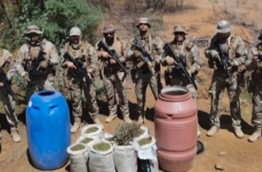 Imagem Drogas apreendidas em ação do DRACO e GOE, na zona rural do município de Caxixola 