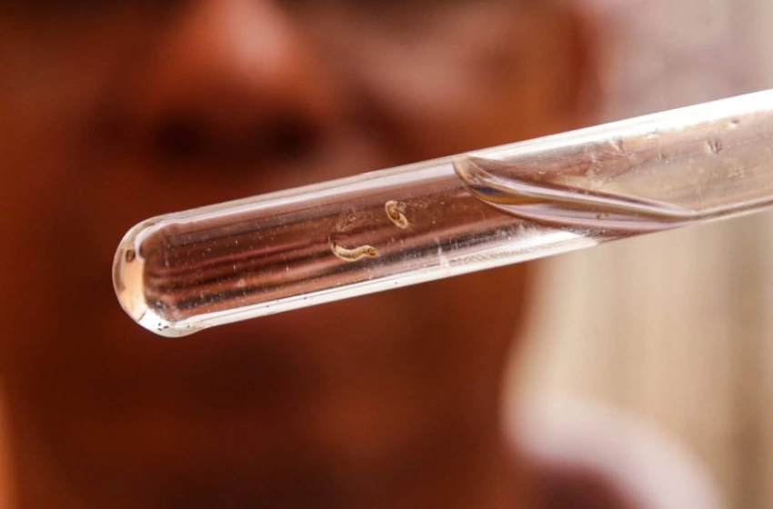 Imagem Saúde divulga boletim e anuncia semana estadual de mobilização contra as arboviroses