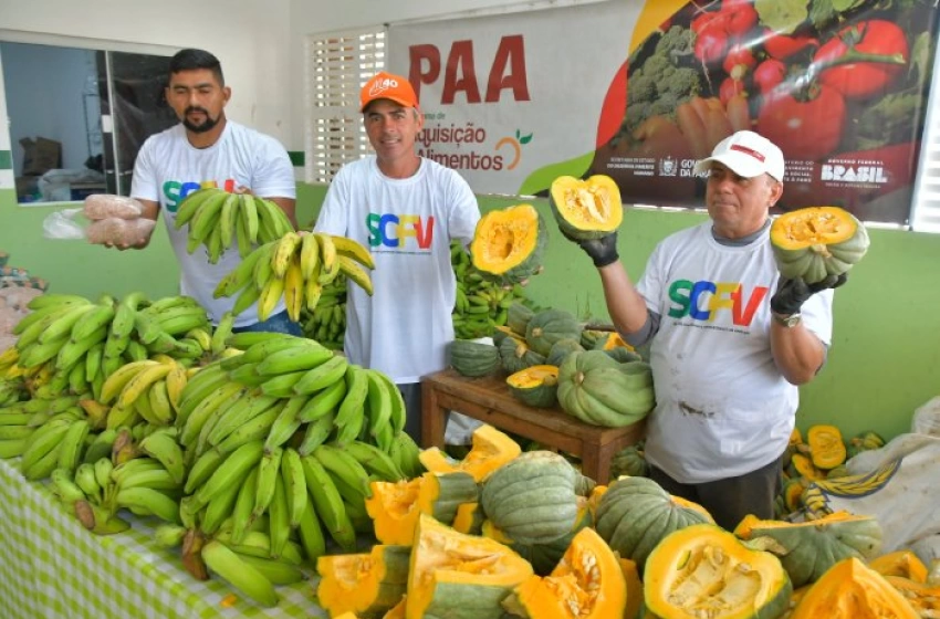Imagem PAA Natalino atende famílias em situação de vulnerabilidade social