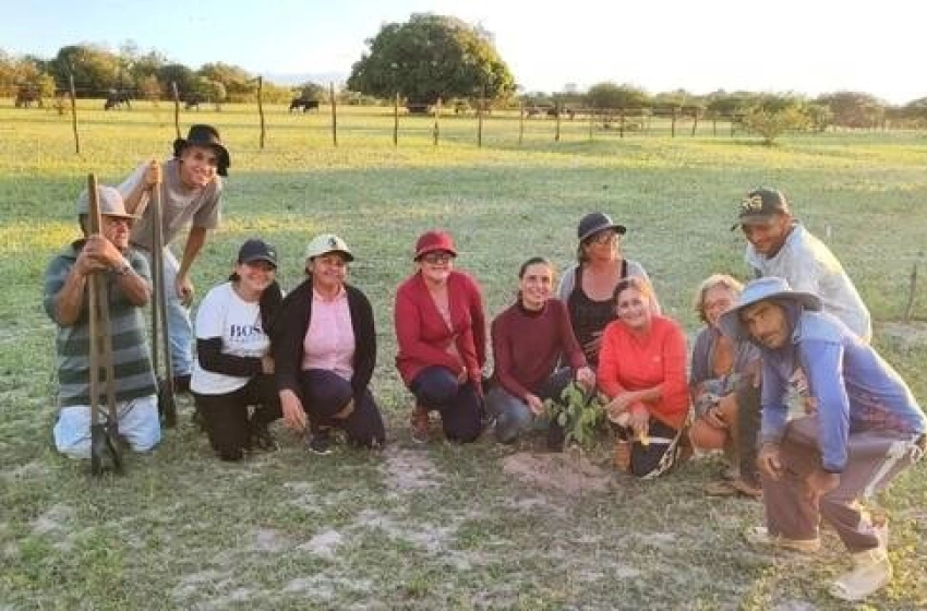 Imagem Projeto para restauração ambiental no semiárido
