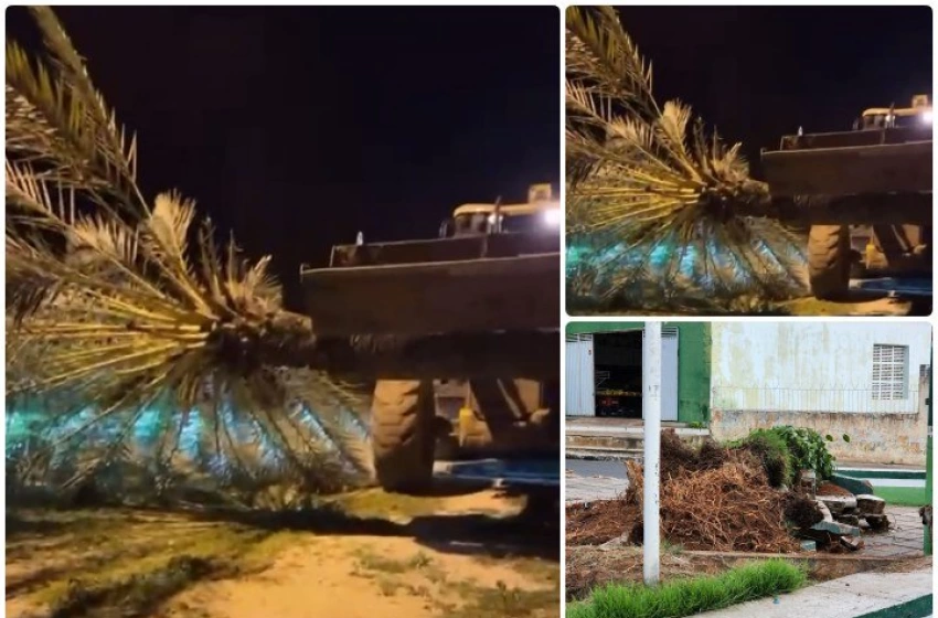 Imagem Tamara sendo retirada da Praça Francisco Braga