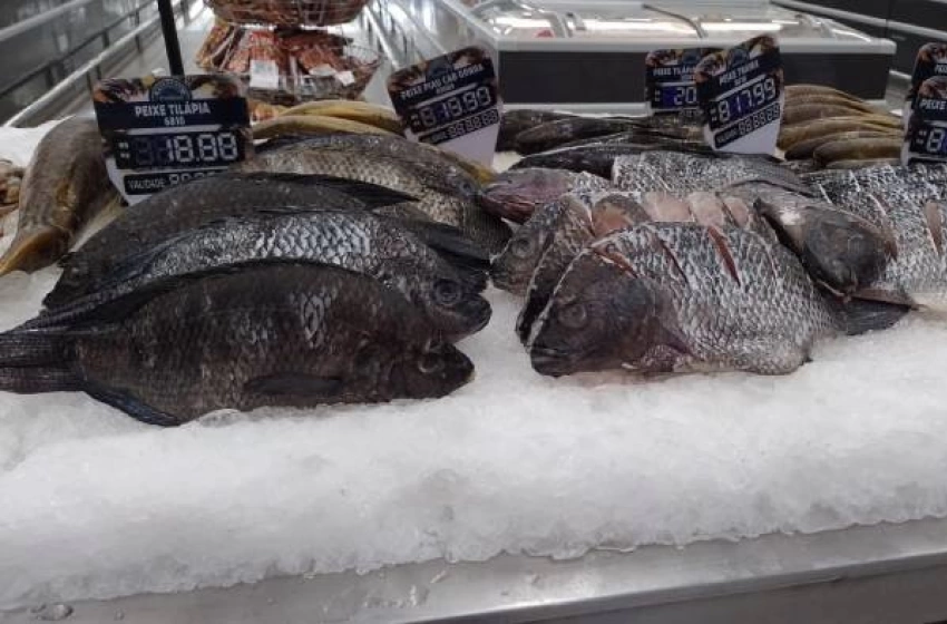 Imagem Peixes distribuídos gratuitamente pela Prefeitura de Pilar