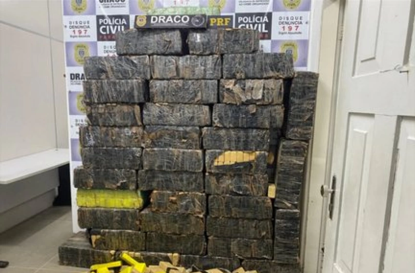 Imagem Grande apreensão de drogas apreendida em ação das Polícias, na Paraíba