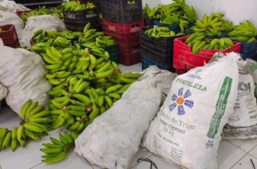 Imagem Prefeitura de Aparecida distribui cestas de alimentos do PAA para mais de 600 famílias