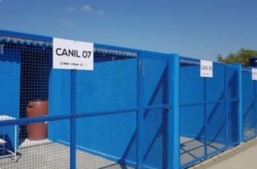 Imagem Canil Municipal de Sousa