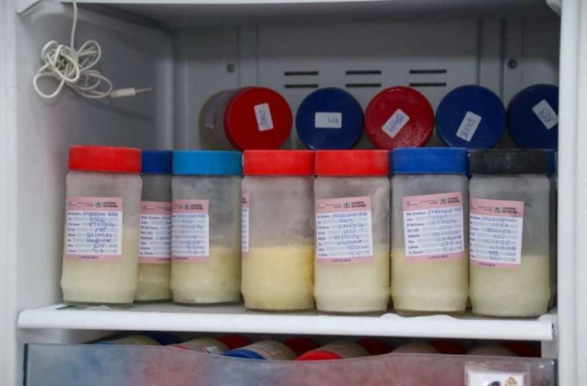 Imagem Campanha de doação de leite humano 