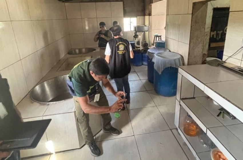 Imagem Interdição de queijeira clandestina