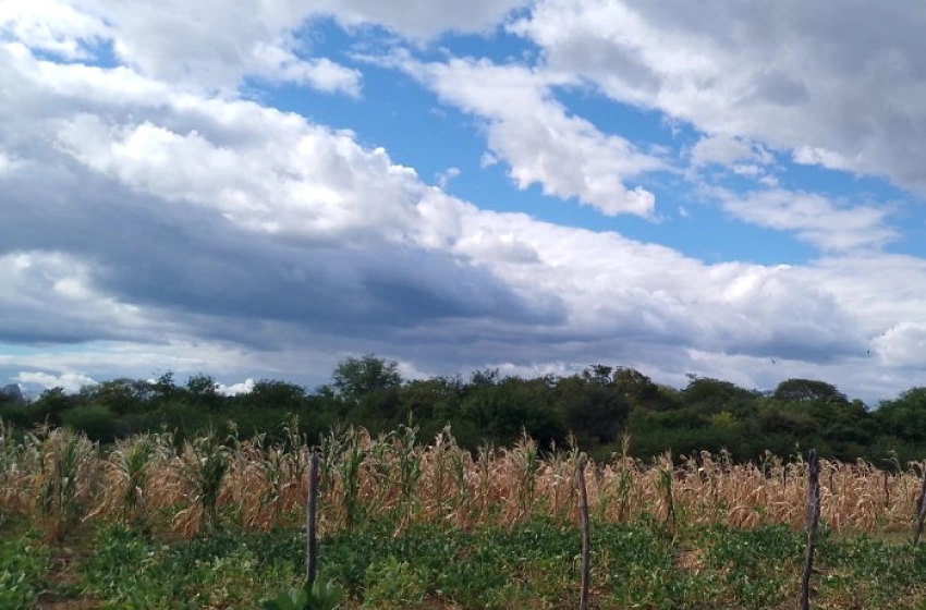 Imagem Situação de emergência por causa da estiagem