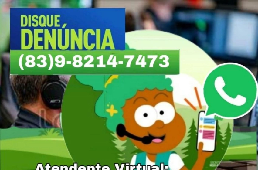 Imagem Denúncias de infrações ambientais