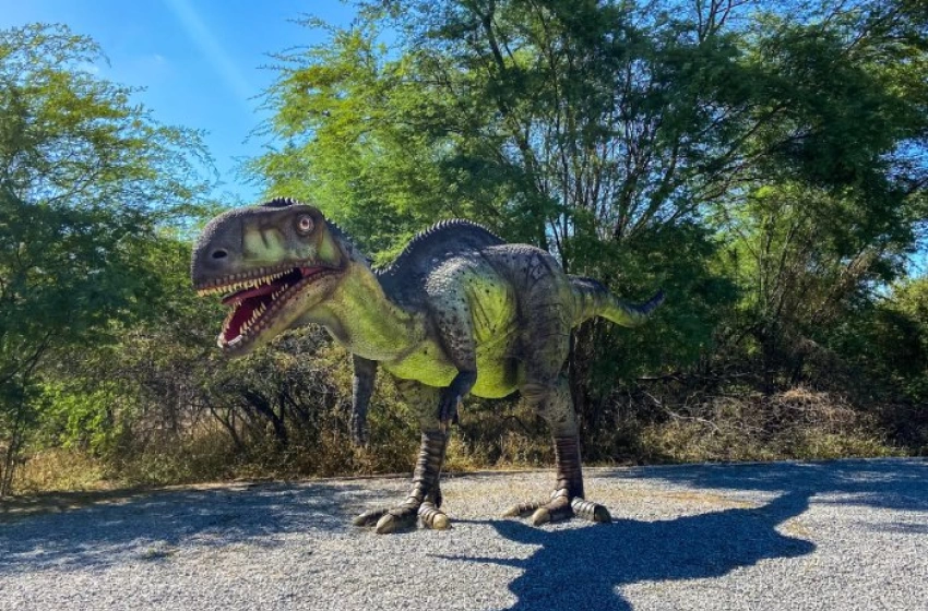 Imagem Vale dos Dinossauros, na cidade de Sousa