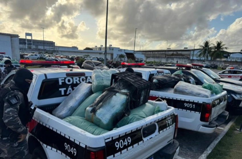 Imagem Droga apreendida em ação da Polícia Militar