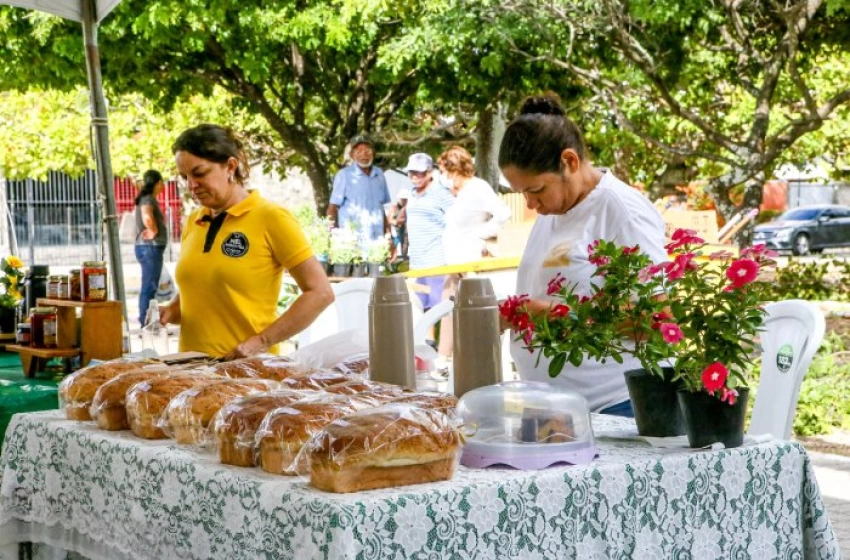 Imagem Programa Eu Posso Semear