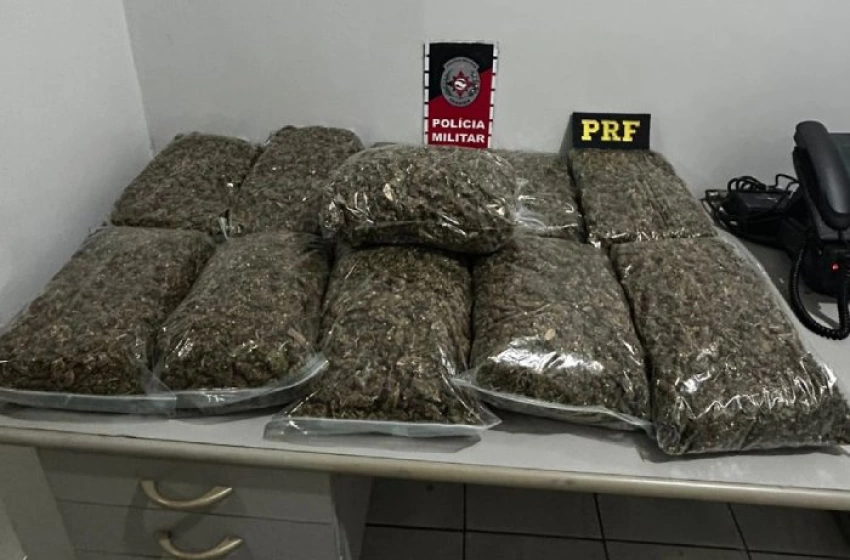 Imagem Drogas apreendidas em ação da PM e da PRF