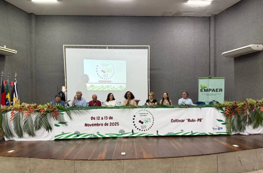 Imagem Paraíba é pioneira no desenvolvimento e produção de acerola mais saborosa e rentável