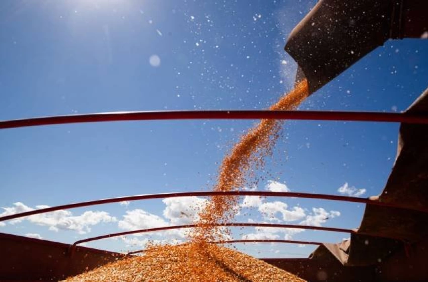 Imagem 354,8 milhões de toneladas de grãos