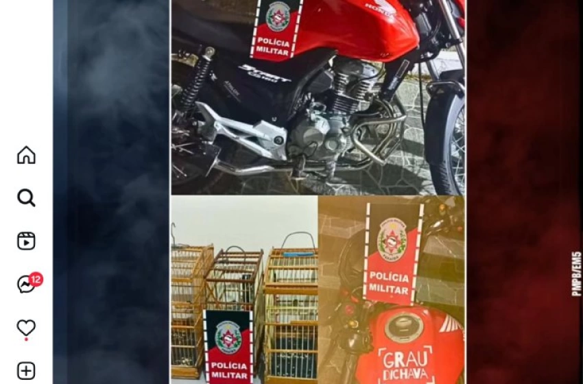 Imagem Moto e aves apreendidas em ação da PM