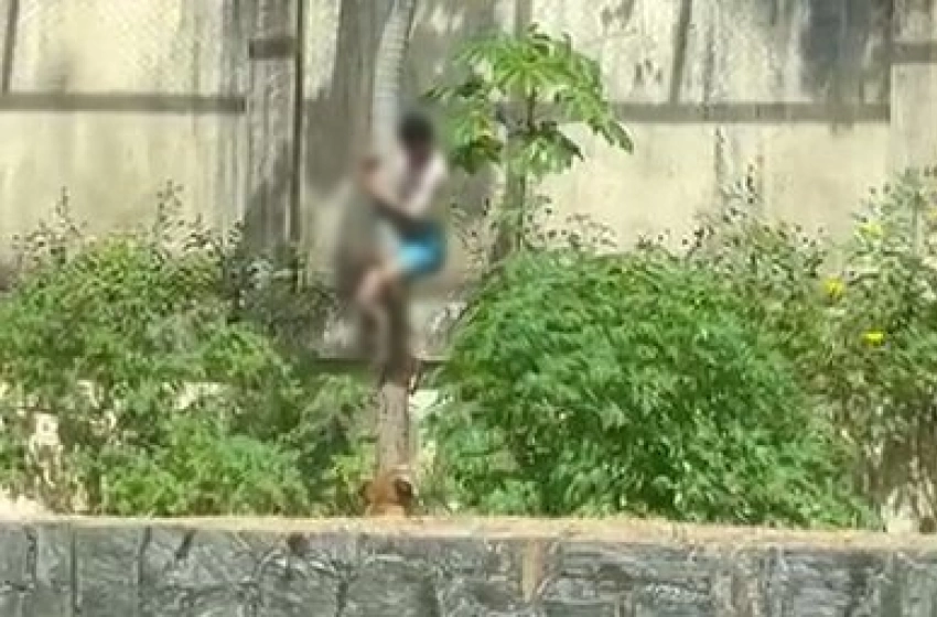 Imagem Imagens mostra o homem invadindo a jaula da leoa e prestes a ser atacado 