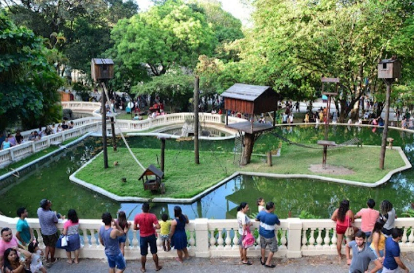 Imagem Parque Arruda Câmara - Bica