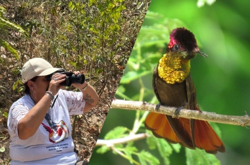 Imagem O Ministério do Turismo lançou o Catálogo de Experiências de Turismo de Observação de Aves
