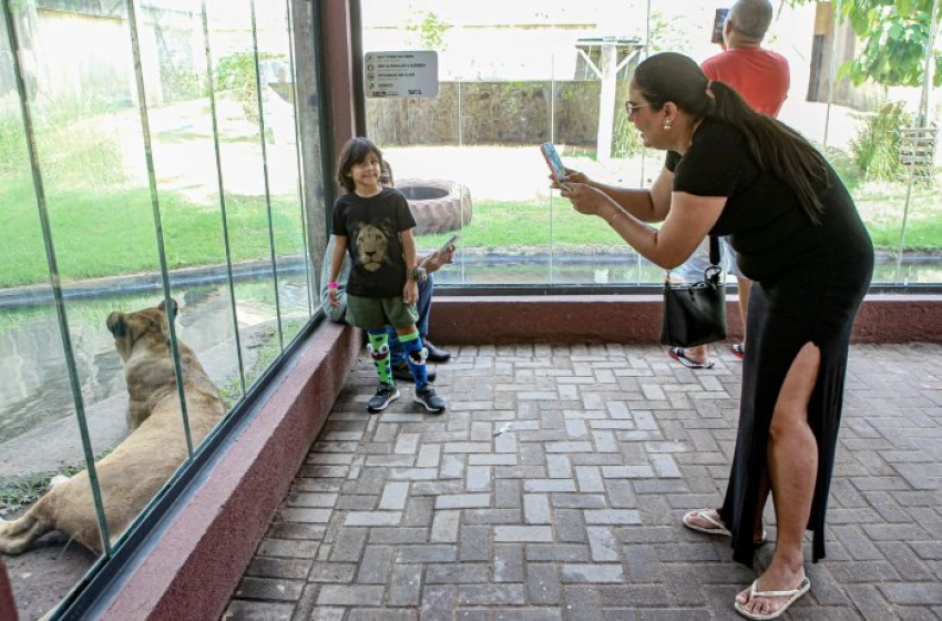 Imagem Parque Zoobotânico Arruda Câmara, Bica