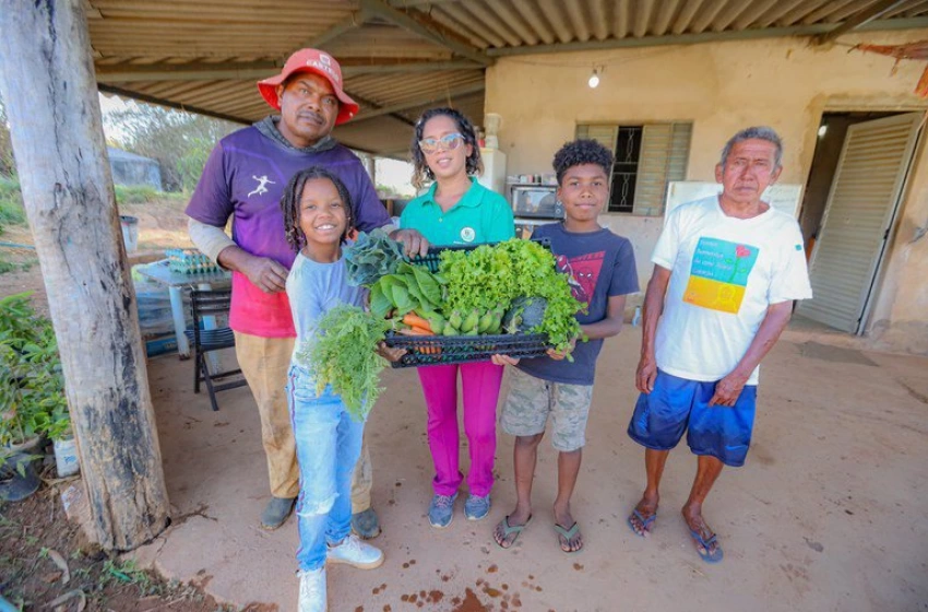 Imagem Governo destina R$ 40 milhões para compra e doação de alimentos do PAA em 233 municípios