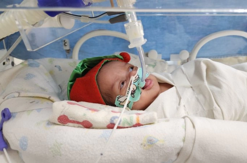 Imagem Humanização e afeto marcam ação natalina com bebês internados no Hospital Edson Ramalho