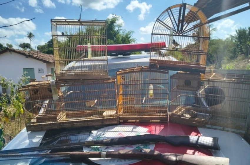 Imagem Aves e Armas de fogo apreendidas pela polícia militar em Itapororoca 