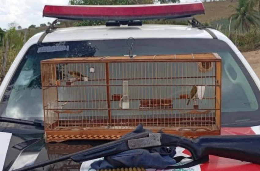 Imagem Arma de fogo e ave silvestre apreendidas no município de Itapororoca 