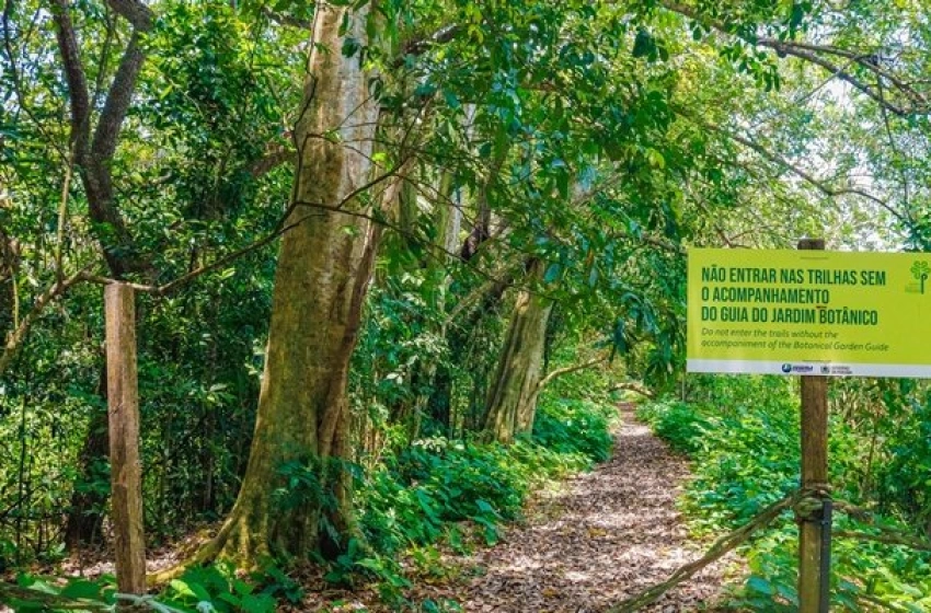 Imagem Jardim Botânico Benjamin Maranhão, em João Pessoa