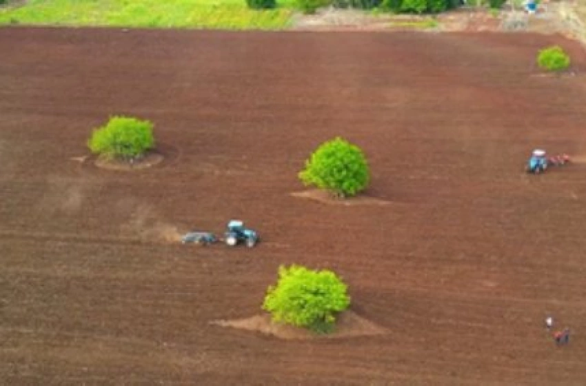 Imagem Preparo do Solo no Assentamento Nova Vida I