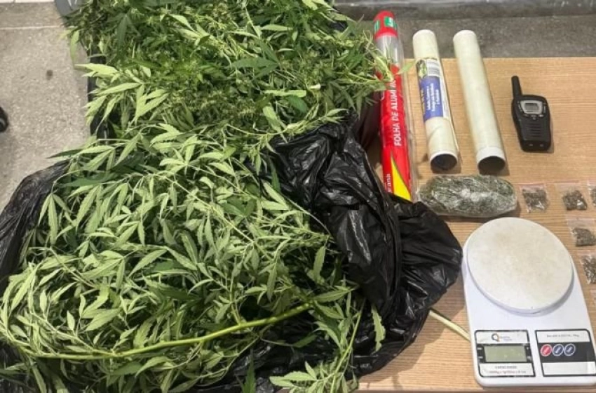 Imagem Drogas apreendidas pela ROTAM em Campina Grande 