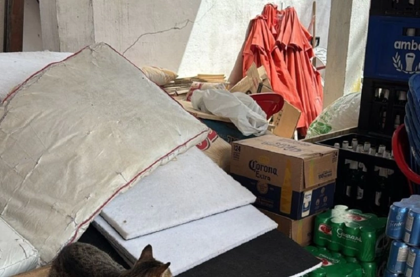 Imagem Ministério Público fiscaliza bar na Praia do Seixas e identifica irregularidades sanitárias