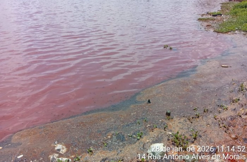 Imagem Poluição na área do Parque das Três Lagoas
