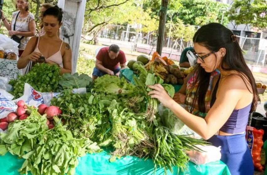 Imagem Feira da Agricultura Familiar