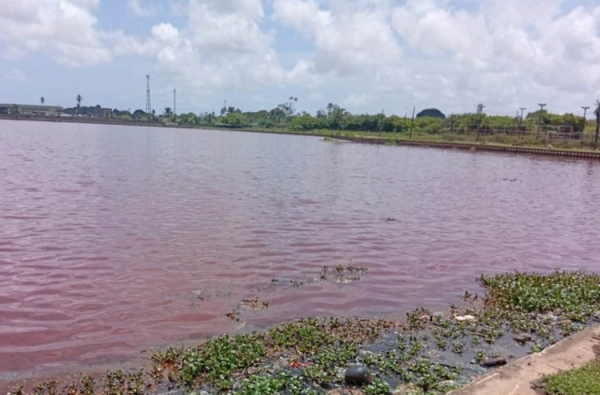 Imagem Poluição na área do Parque das Três Lagoas
