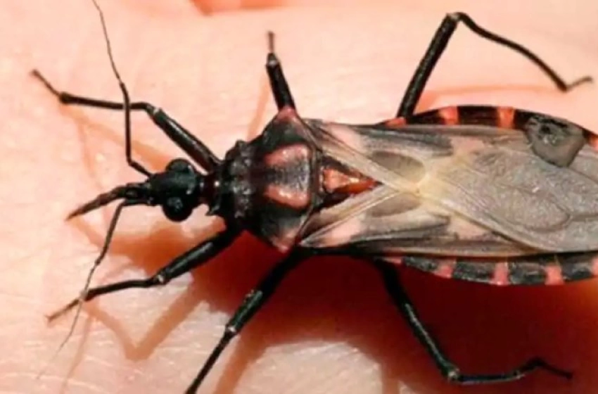 Imagem Imagem de um barbeiro 