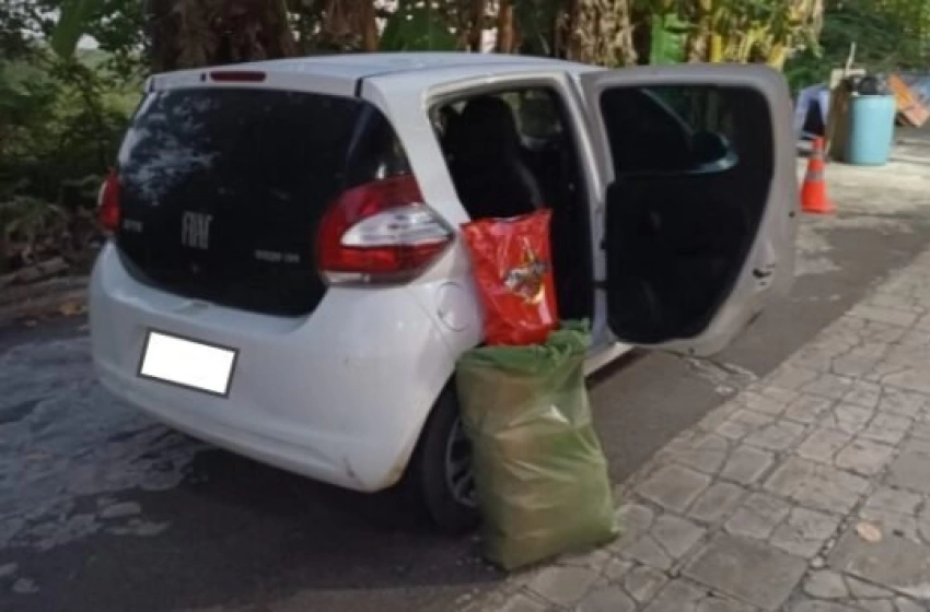 Imagem Apreensão de drogas pela PRF